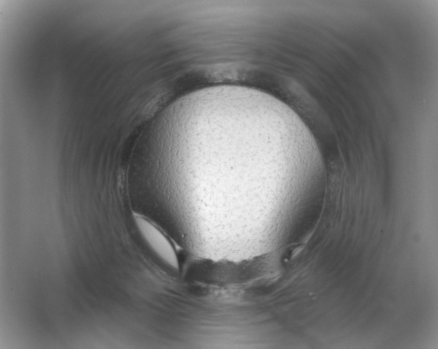 X0000063510125200602172157