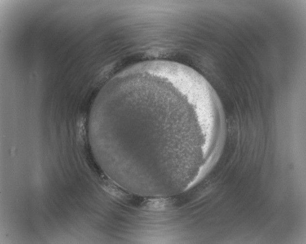 X0000063510127200602172157