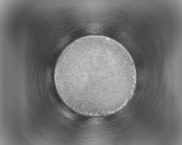 X0000063510128200602172157