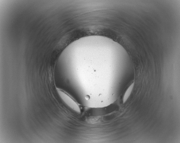 X0000063510129200602172157