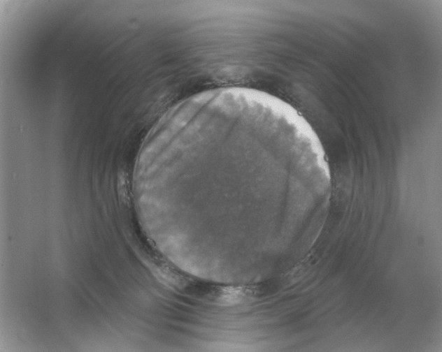 X0000063510130200602172157