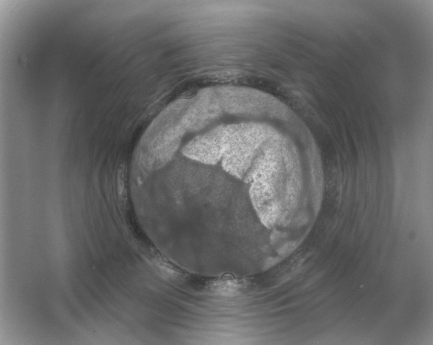 X0000063510131200602172157