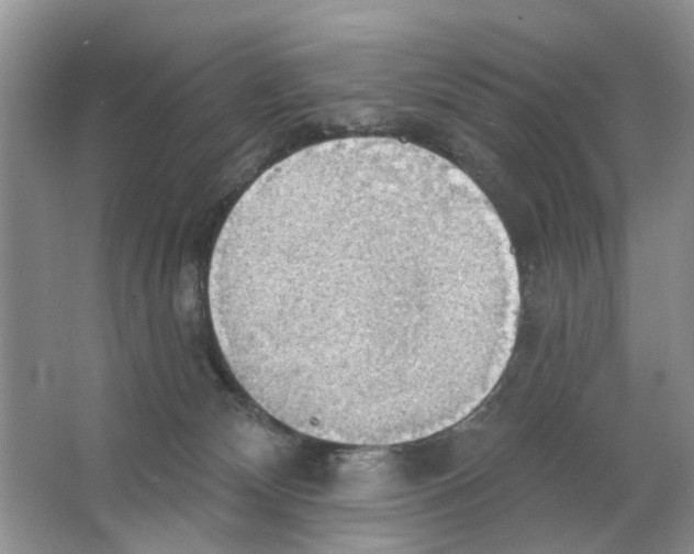 X0000063510132200602172157