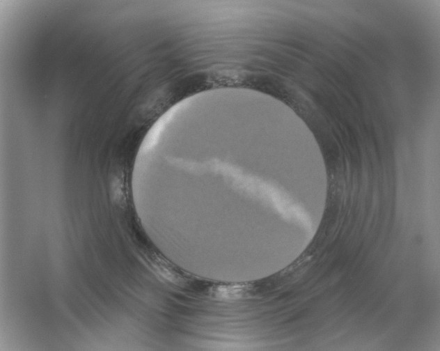 X0000063510134200602172157