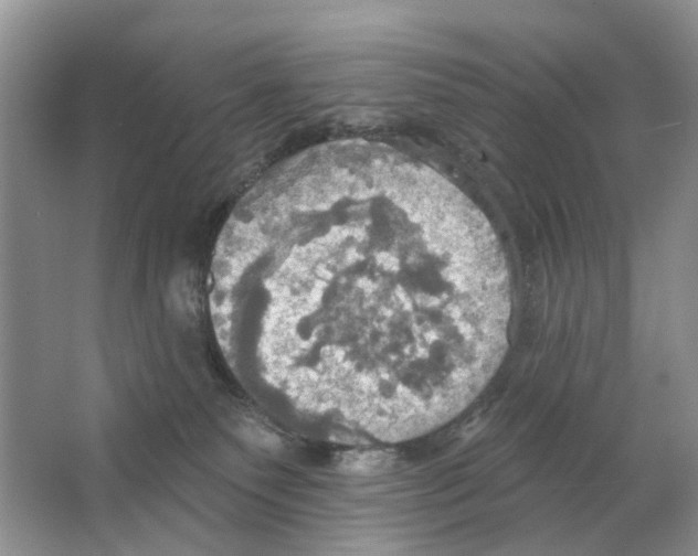 X0000063510135200602172157