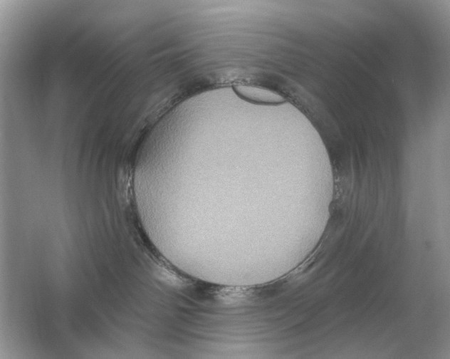 X0000063510142200602172157