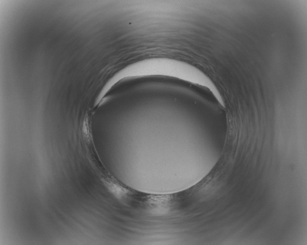 X0000063510143200602172157