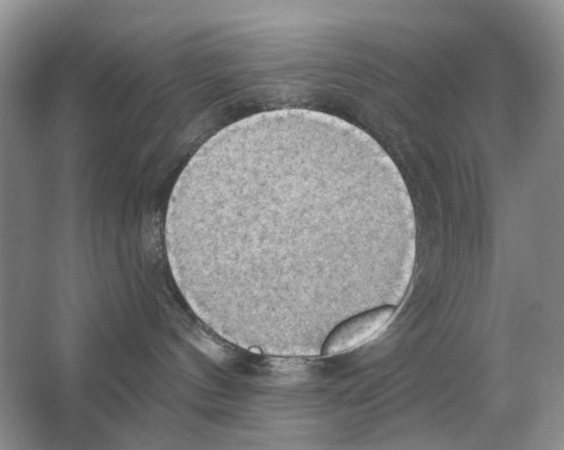 X0000063510144200602172157