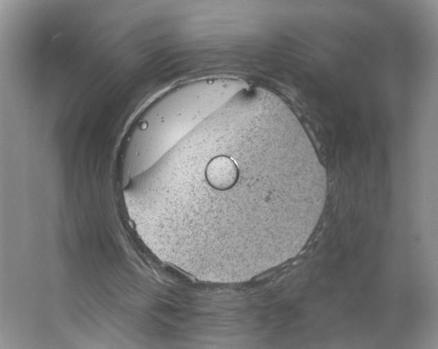 X0000063510146200602172156