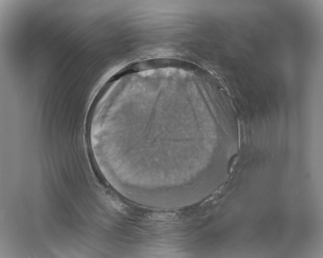 X0000063510147200602172156