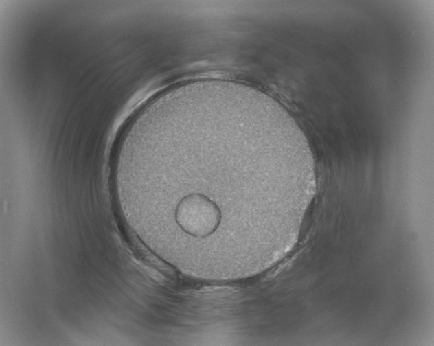 X0000063510150200602172156