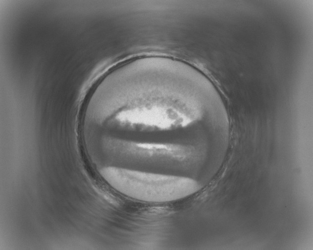 X0000063510151200602172156