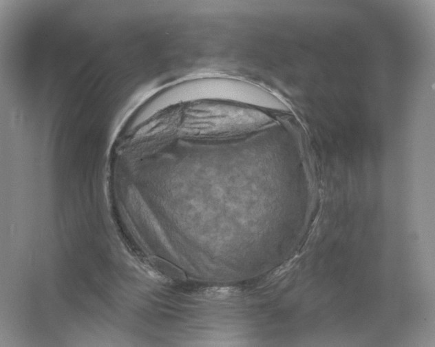 X0000063510152200602172156