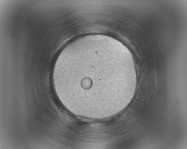 X0000063510154200602172156