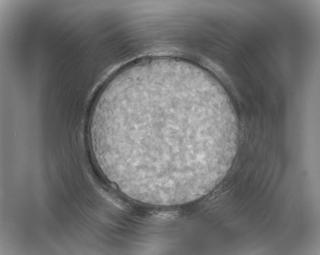 X0000063510155200602172156