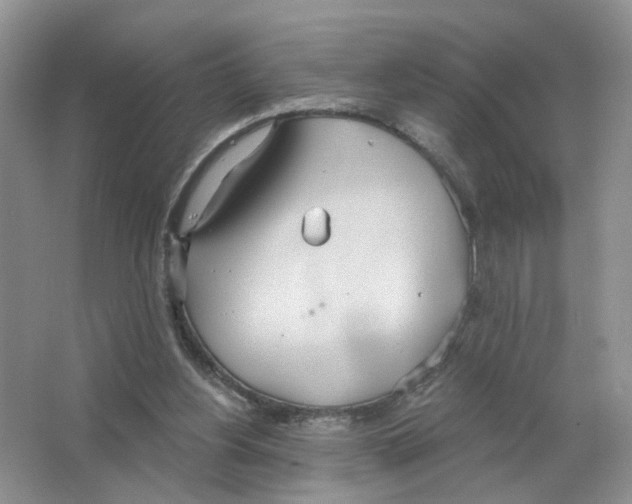 X0000063510156200602172156