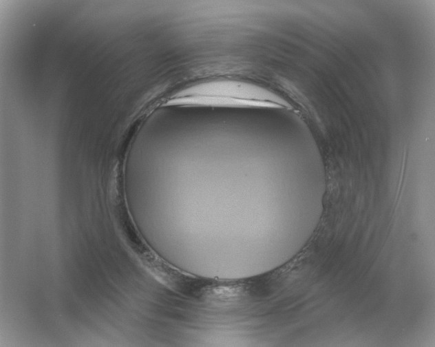 X0000063510163200602172156