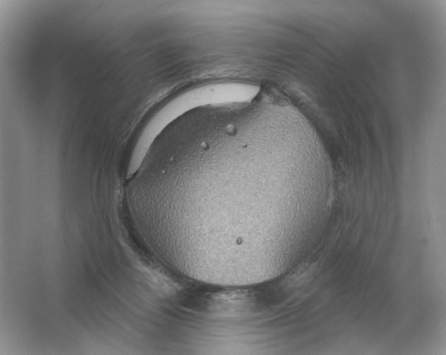 X0000063510164200602172156