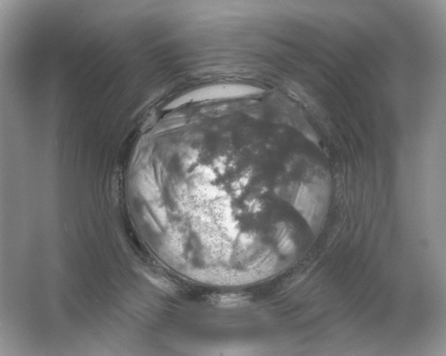 X0000063510165200602172156