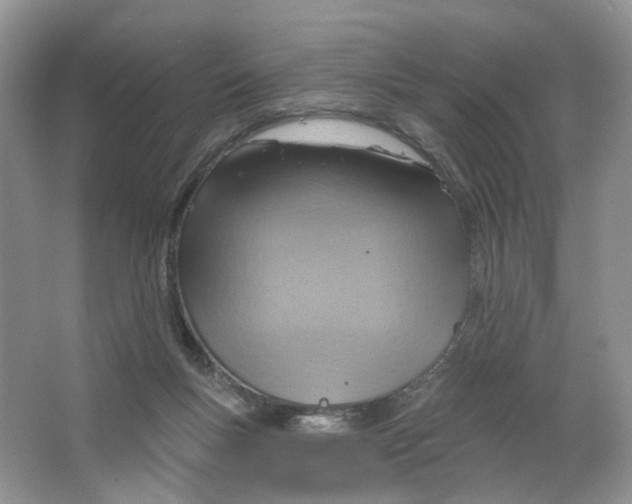 X0000063510167200602172156