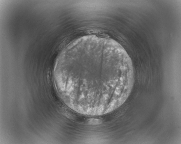 X0000063510169200602172156