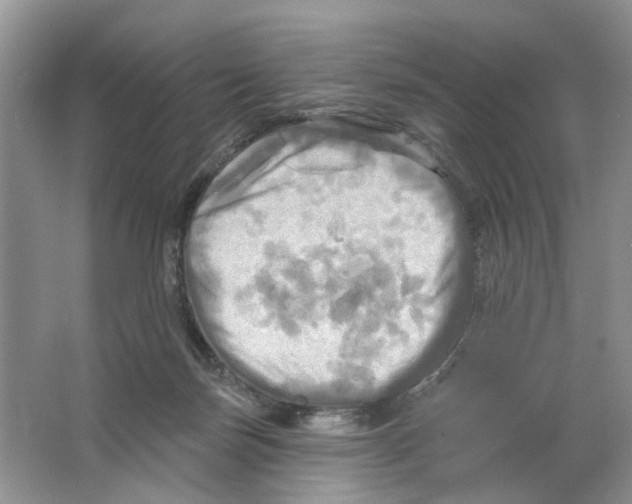 X0000063510171200602172156