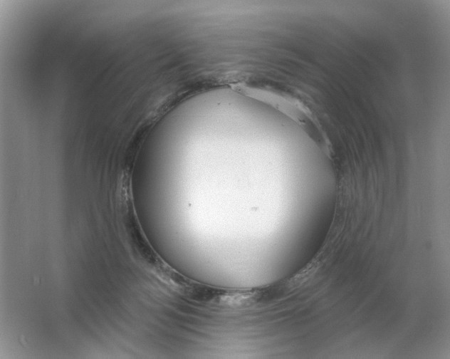 X0000063510172200602172156