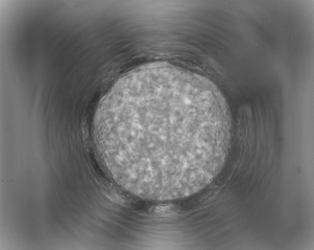 X0000063510173200602172156