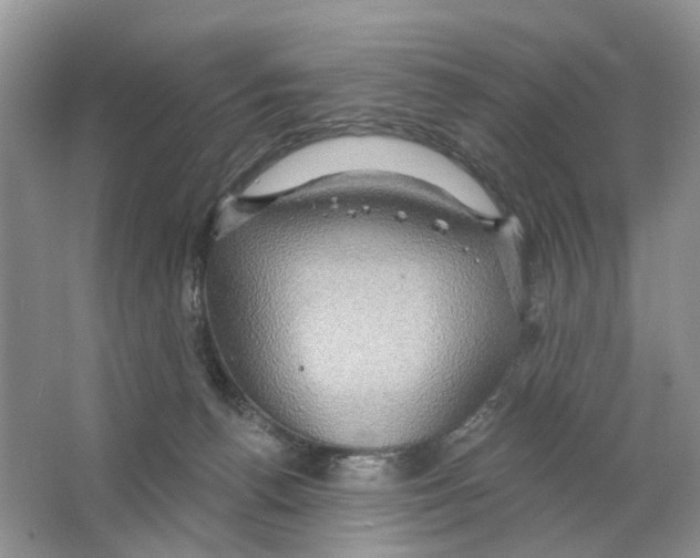 X0000063510176200602172156