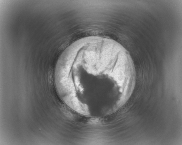 X0000063510177200602172156