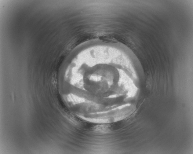 X0000063510179200602172156