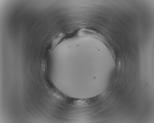 X0000063510180200602172156