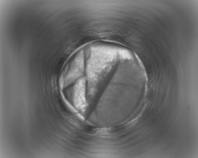 X0000063510182200602172156