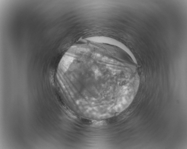 X0000063510185200602172156