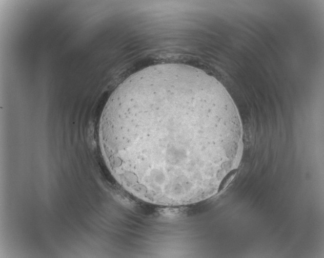 X0000063510187200602172156