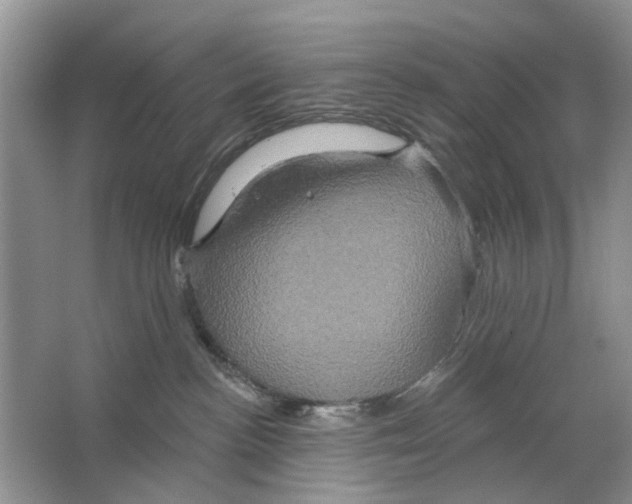 X0000063510188200602172156