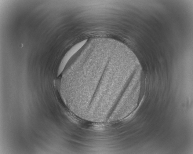 X0000063510190200602172156