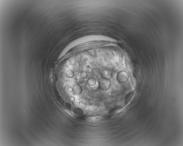 X0000063510191200602172156