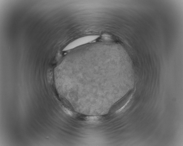 X0000063510192200602172157