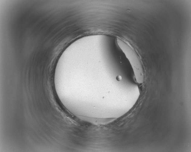 X0000063510193200602172156