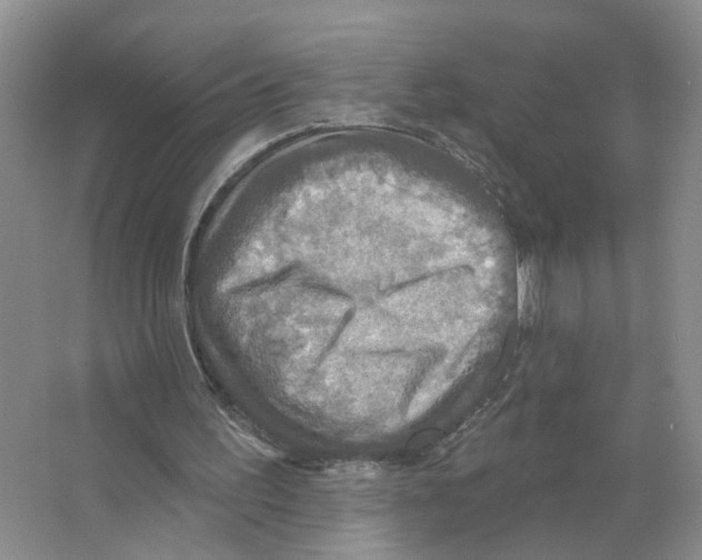 X0000063510195200602172156