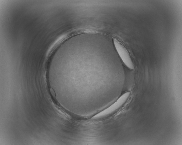 X0000063510197200602172156