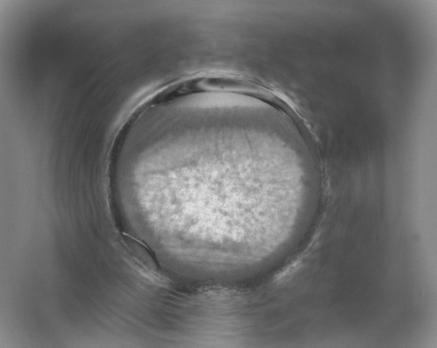 X0000063510199200602172156