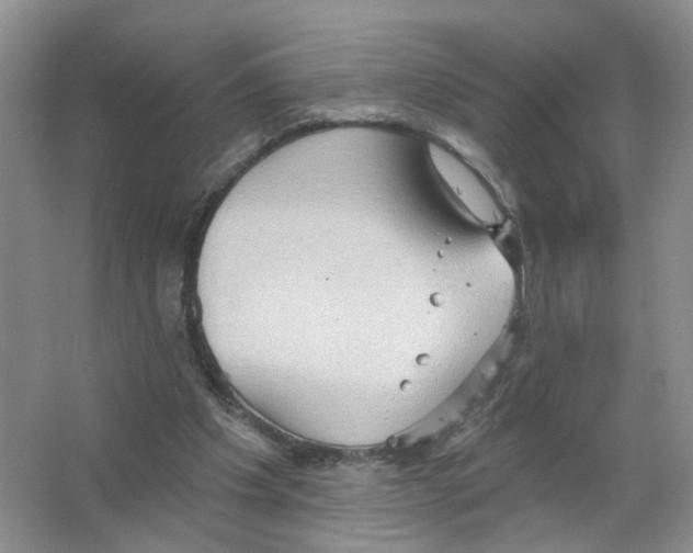 X0000063510201200602172156