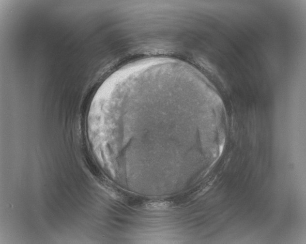 X0000063510202200602172156