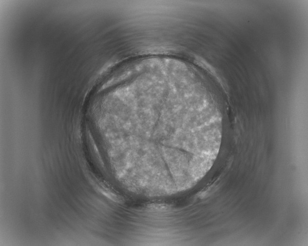 X0000063510203200602172156