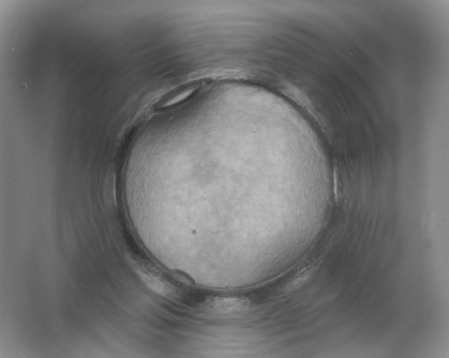 X0000063510205200602172155