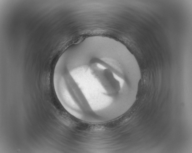 X0000063510206200602172155