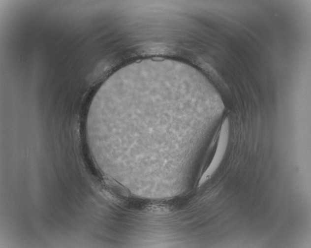 X0000063510207200602172155