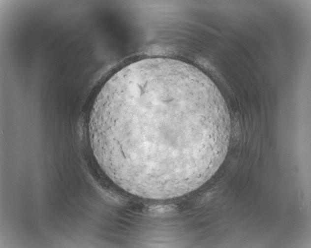 X0000063510208200602172155